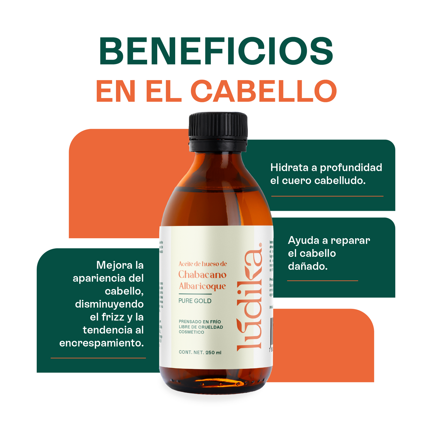 Aceite de Chabacano Albaricoque Virgen | Facial Capilar y Corporal | Antioxidante e Hidratación Suave para pieles maduras y secas