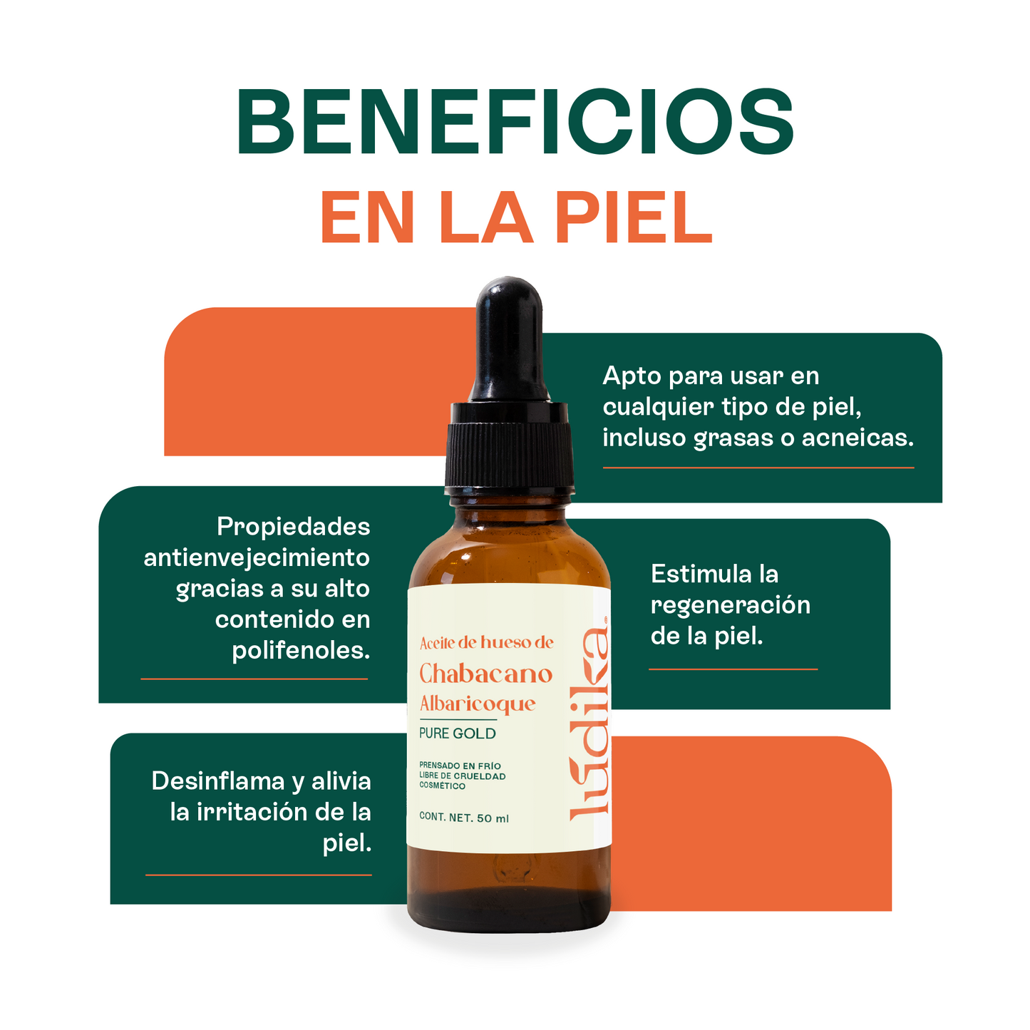 Aceite de Chabacano Albaricoque Virgen | Facial Capilar y Corporal | Antioxidante e Hidratación Suave para pieles maduras y secas