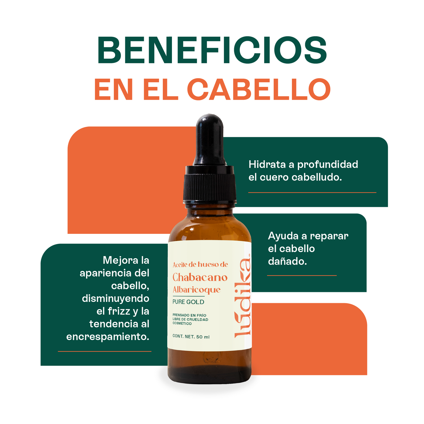 Aceite de Chabacano Albaricoque Virgen | Facial Capilar y Corporal | Antioxidante e Hidratación Suave para pieles maduras y secas