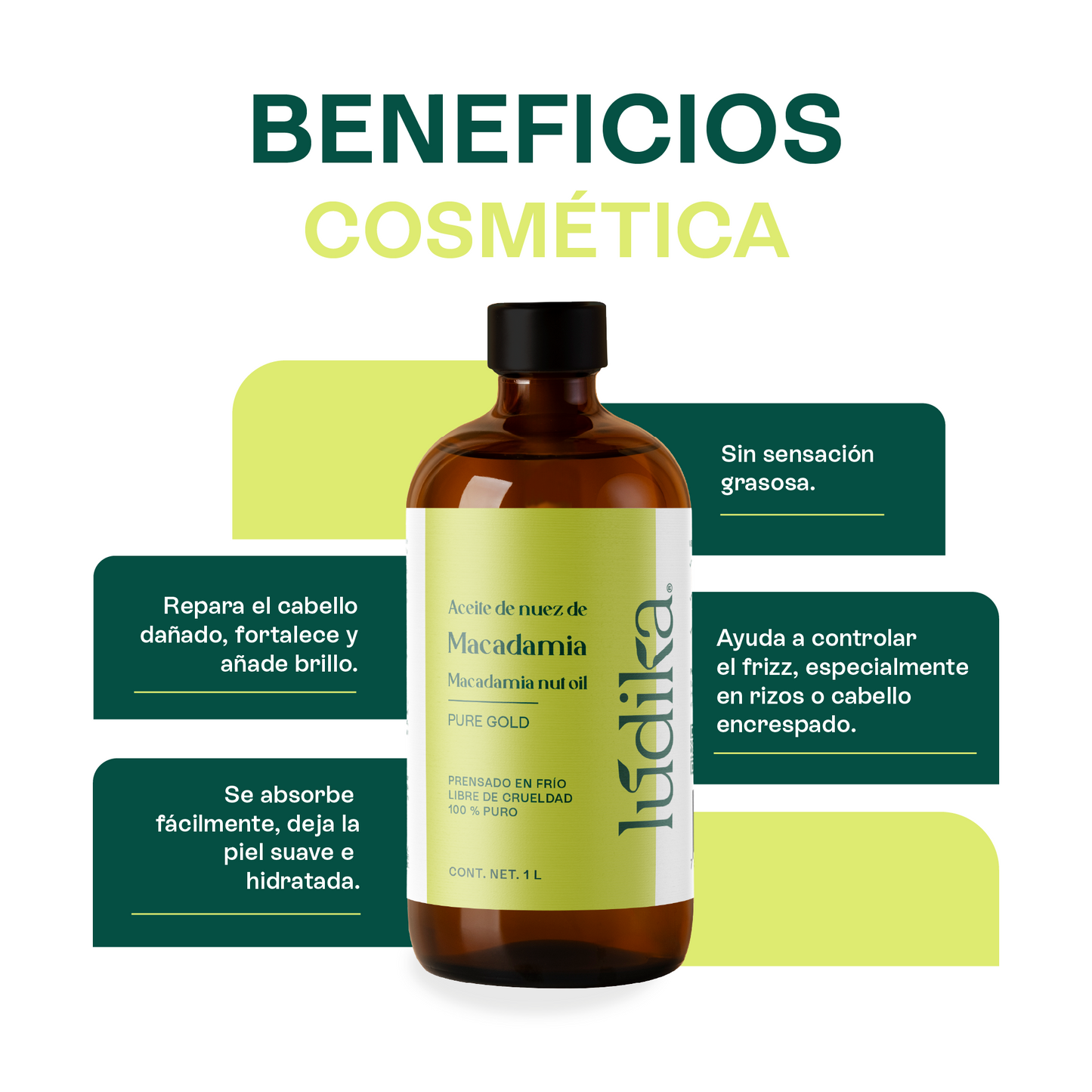 Aceite de Nuez de Macadamia | Facial y Capilar | Antiedad, Reparador Capilar y Súper Hidratante