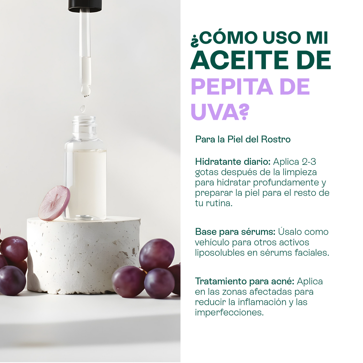 Aceites de Rosa Mosqueta y Pepita de Uva | Kit Facial Lúdika | Nutrición y suavidad