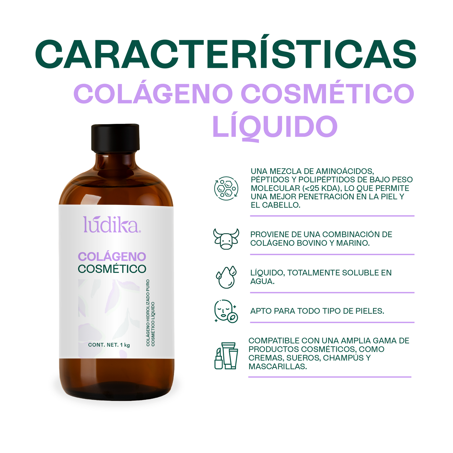 Colágeno Hidrolizado Líquido (Bajo Peso Molecular) | Activo Antiedad de Alta Tecnología | Firmeza, Elasticidad e Hidratación