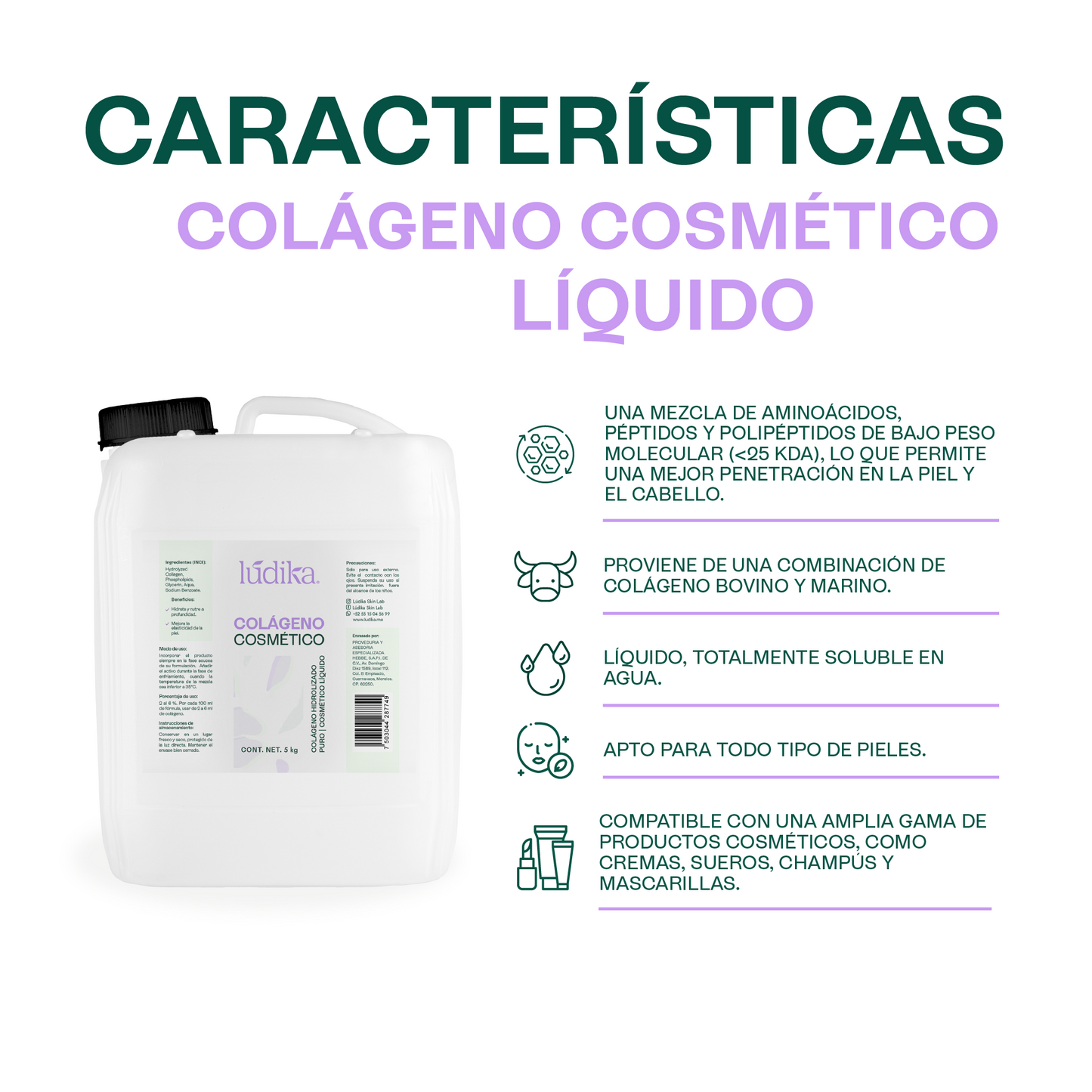 Colágeno Hidrolizado Líquido (Bajo Peso Molecular) | Activo Antiedad de Alta Tecnología | Firmeza, Elasticidad e Hidratación