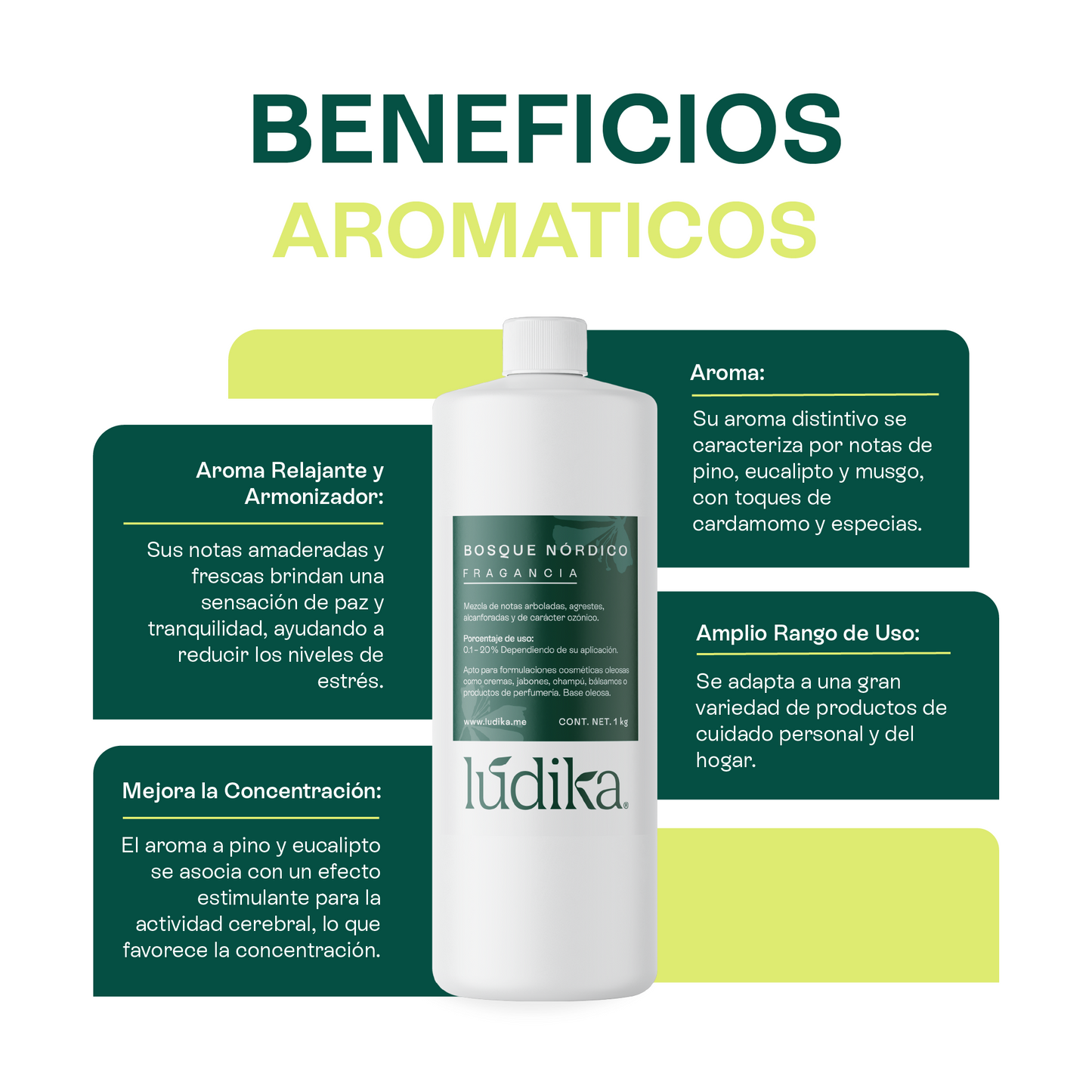 Fragancia de Bosque Nórdico | Aroma Amaderado, Fresco y Revitalizante