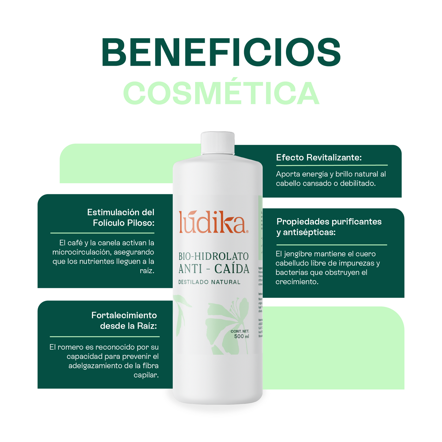 Hidrolato Anticaída Puro | Fortalece, Estimula el Crecimiento y Revitaliza el Cabello