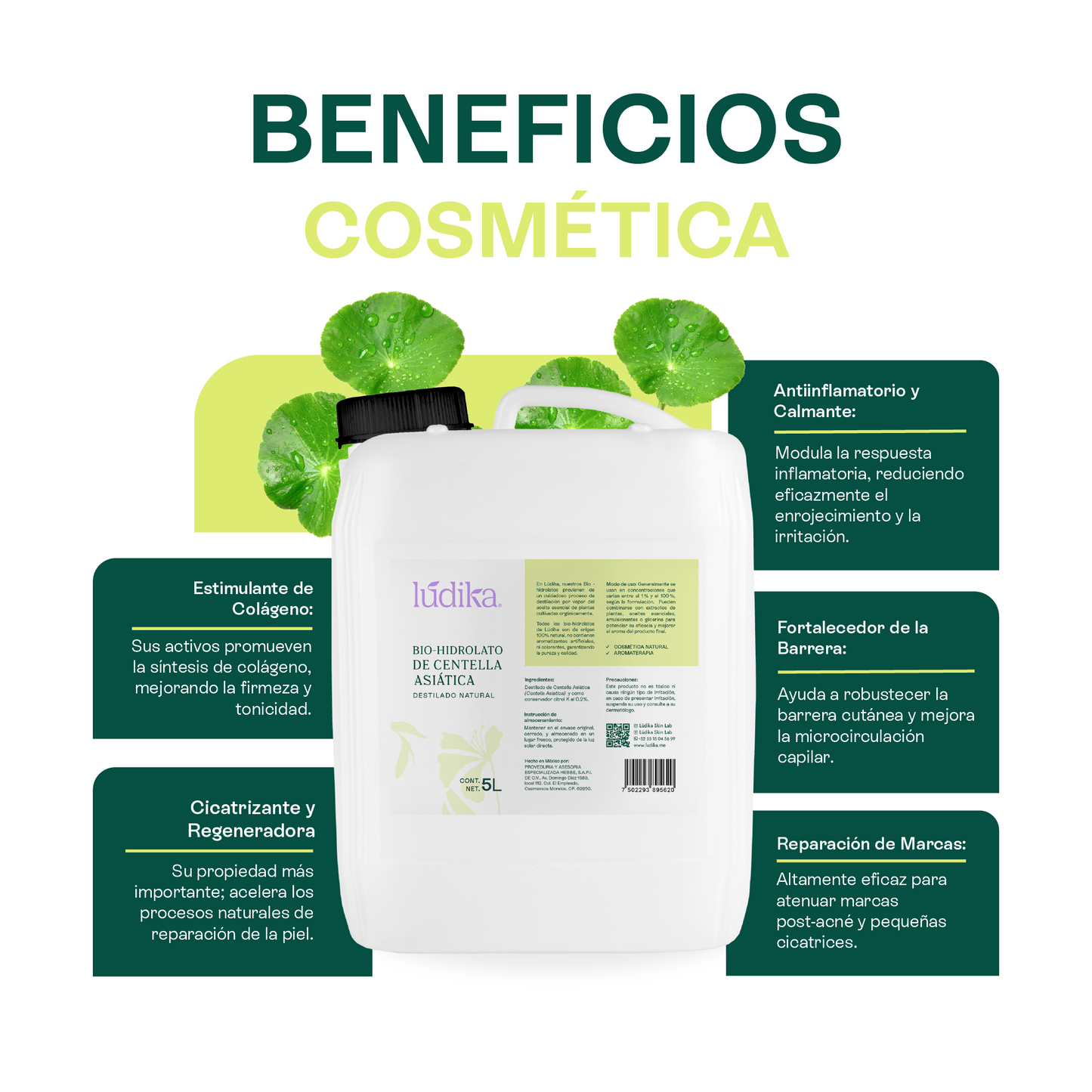 Bio Hidrolato de Centella Asiática | Facial y Corporal | Reparador, Cicatrizante y Antiinflamatorio