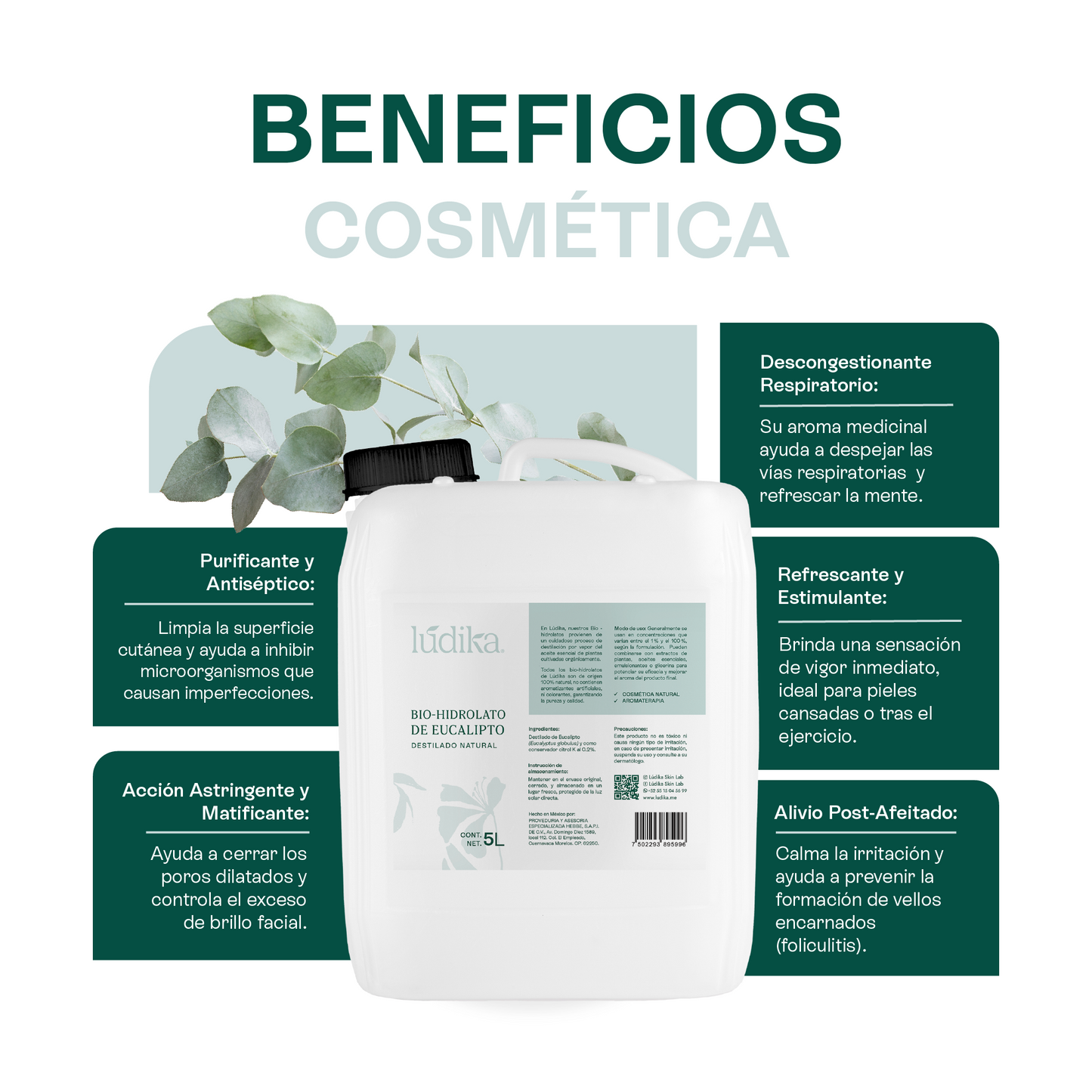 Hidrolato de Eucalipto | Facial y Corporal | Purificante, Astringente y Refrescante