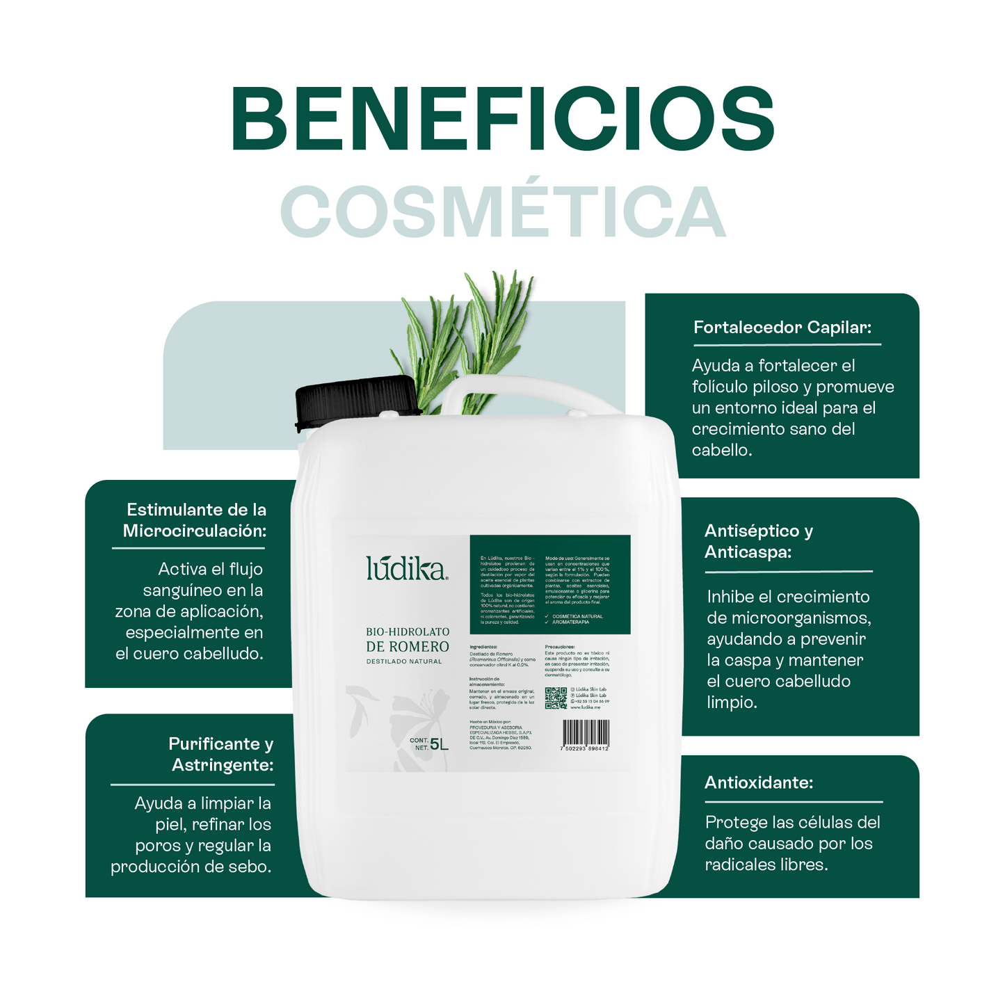 Bio Hidrolato de Romero | Facial y Capilar | Purificante, Estimulante y Tonificante