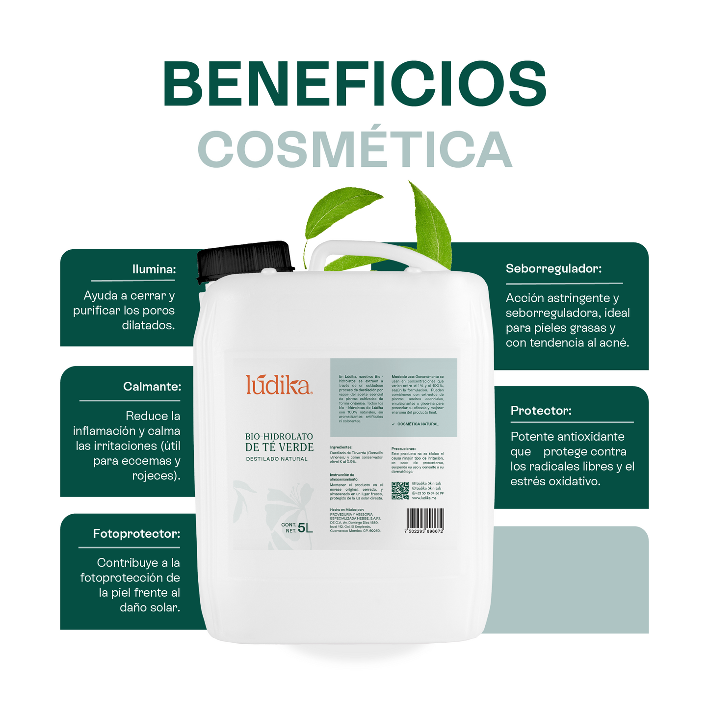 Hidrolato de Té Verde | Facial y Capilar | Antioxidante, Purificante y Protector
