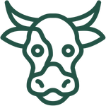 Bovino