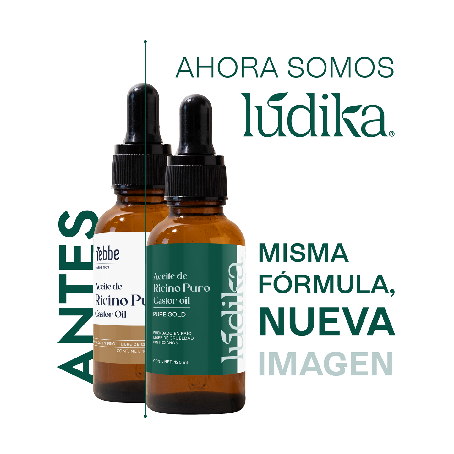 Kit Aceite de Ricino | Fortalecimiento y Crecimiento para Cabello y Pestañas | 10 pzas