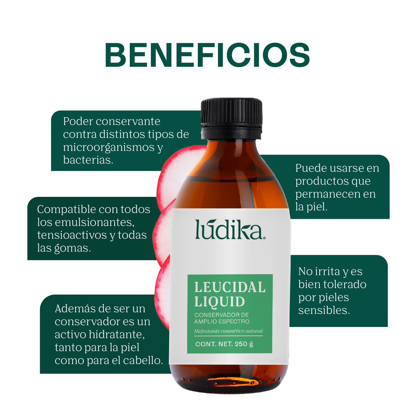Leucidal Liquid | Conservador Natural de Amplio Espectro con Propiedades Humectantes para Cosmética Natural