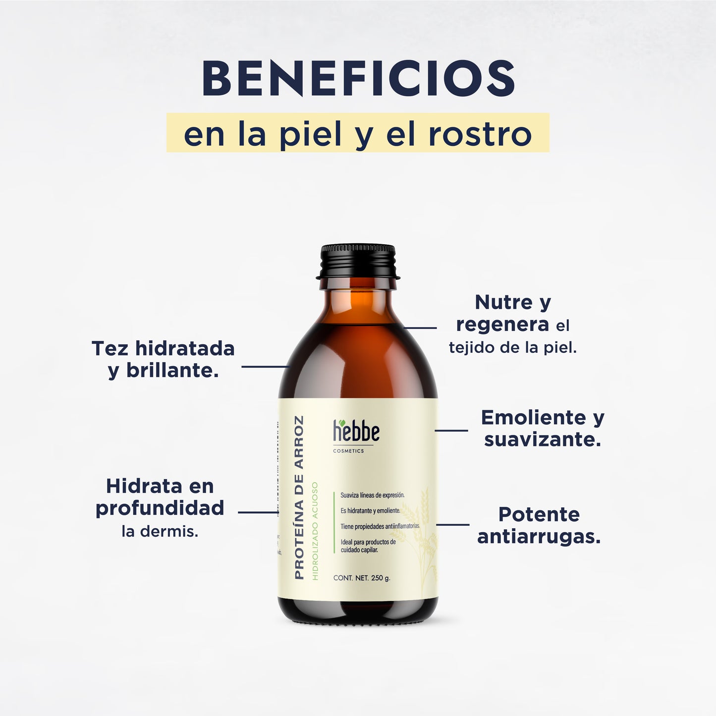 Proteína de Arroz Hidrolizada | Capilar, Corporal y Facial | Voluminizador Capilar y Fortalecedor Vegano
