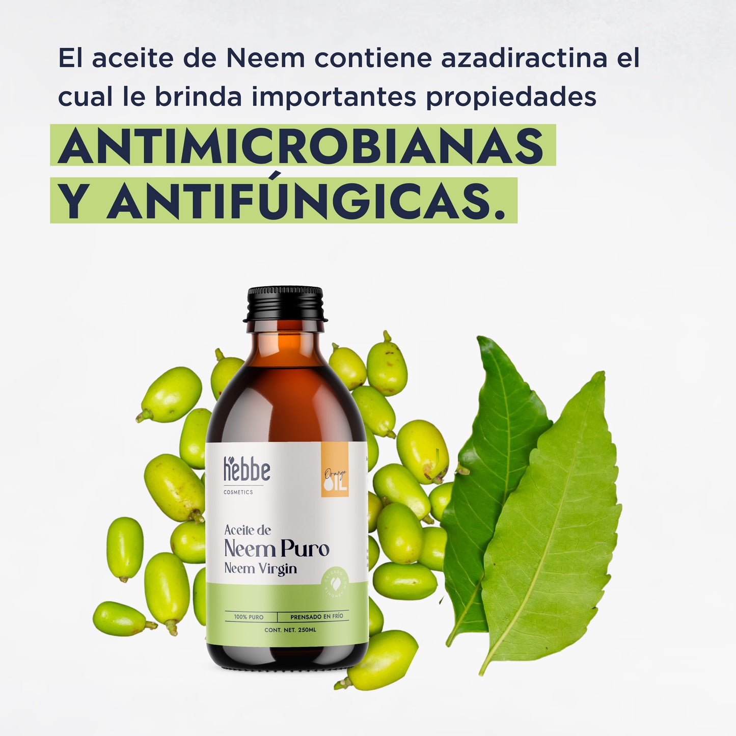 Aceite de Neem Virgen | Capilar y Facial | Purificante, Calmante y Protector Antiedad y Antimosquitos