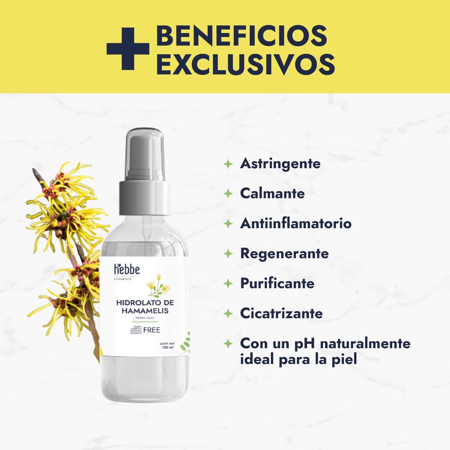 Hidrolato de Hamamelis | Facial y Corporal | Astringente, Purificante y Calmante