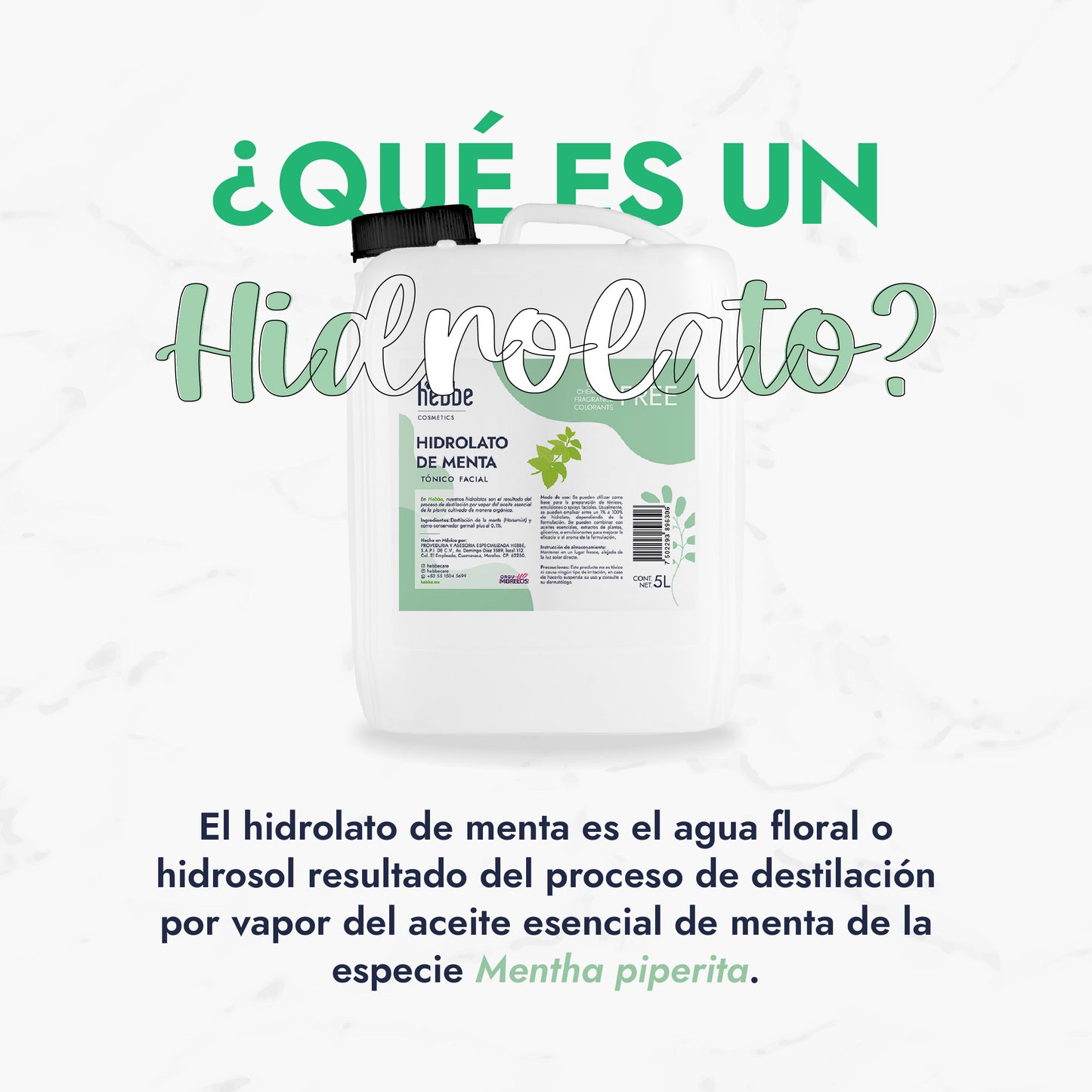 Hidrolato de Menta | Facial y Corporal | Refrescante, Astringente y Purificante