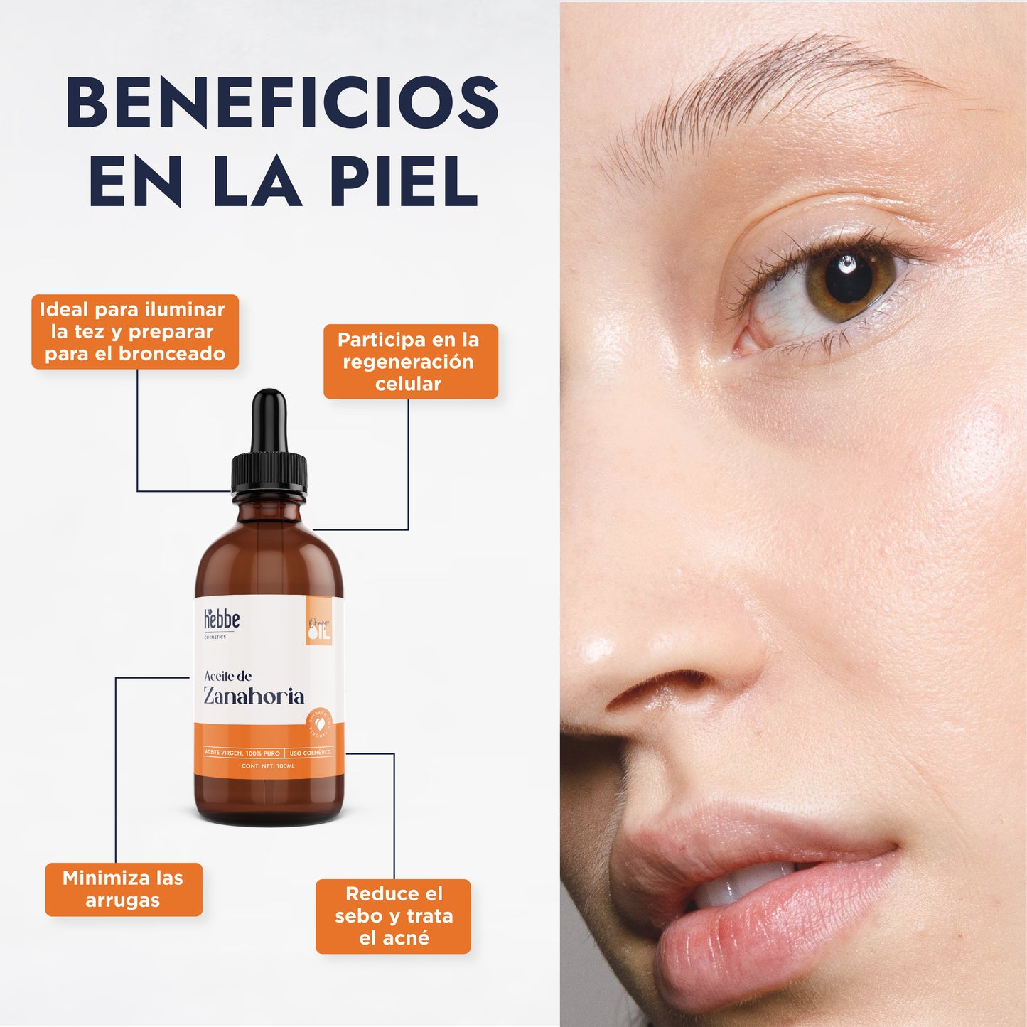 Aceite de Zanahoria Natural | Facial y Corporal | Antioxidante, Regenerador Antiedad y Protector Natural