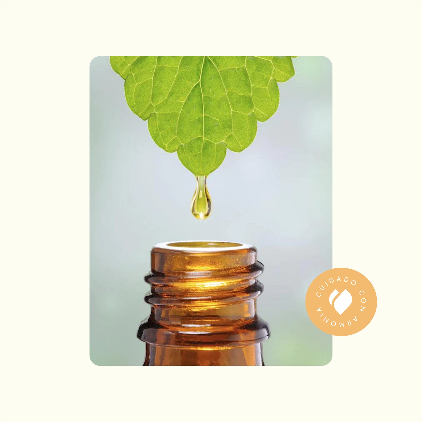 Extracto Glicólico de Caléndula | Facial, Corporal y Capilar | Activo Calmante, Reparador y Anti-Irritante