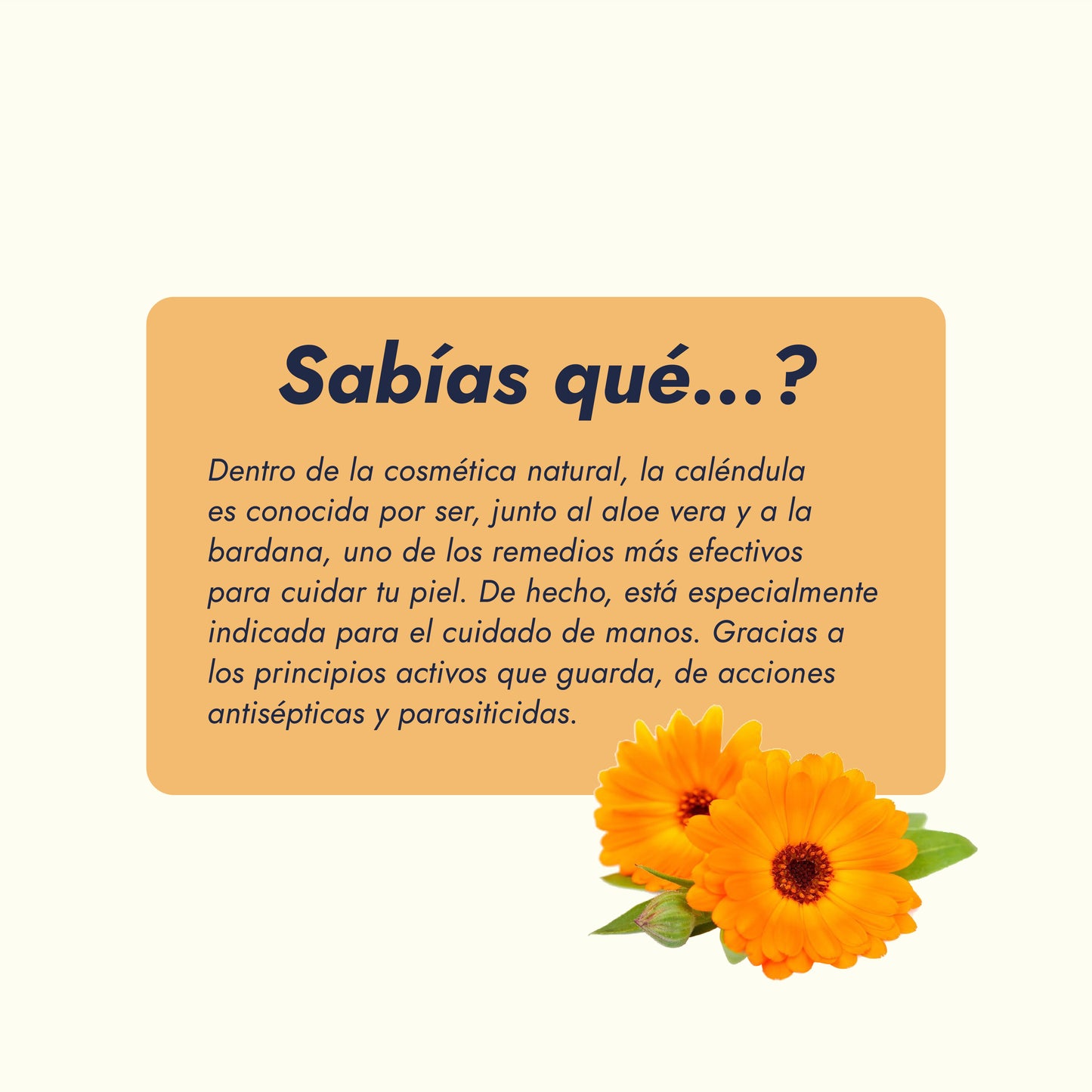 Extracto Glicólico de Caléndula | Facial, Corporal y Capilar | Activo Calmante, Reparador y Anti-Irritante