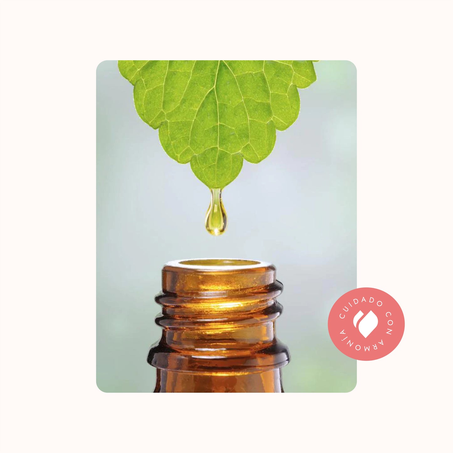 Extracto Glicólico de Granada | Facial, Corporal y Capilar | Activo Antioxidante, Antienvejecimiento e Iluminador