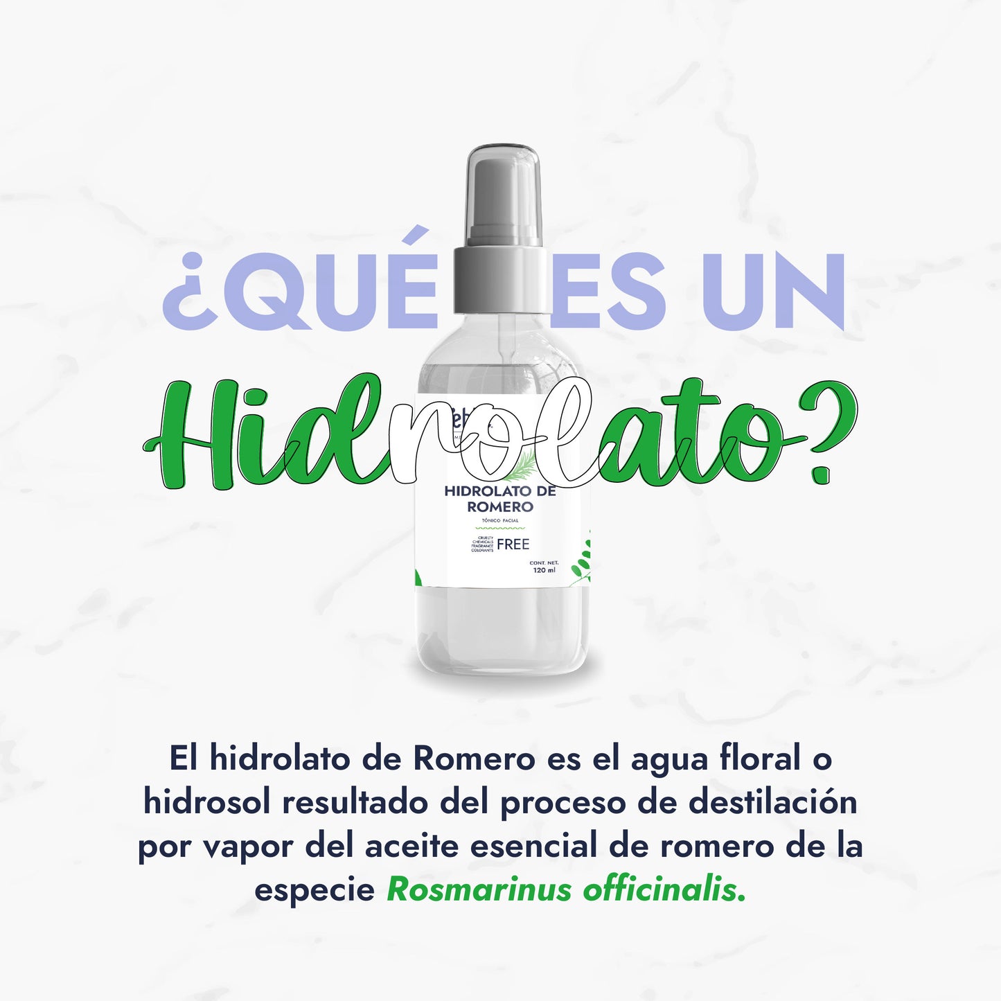 Hidrolato de Romero | Facial y Capilar | Purificante, Estimulante y Tonificante