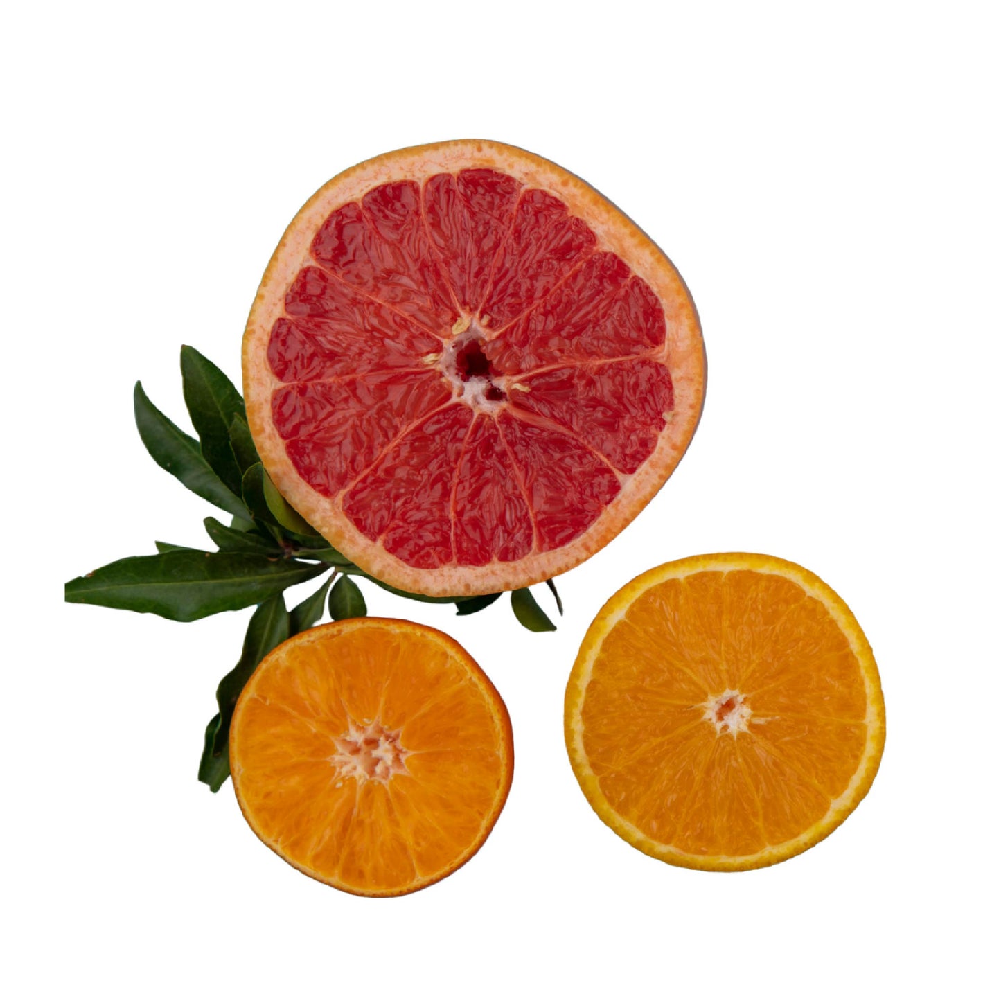 Hidrolato de Cítricos | Facial, Corporal y Capilar | Refrescante, Purificante y Energizante