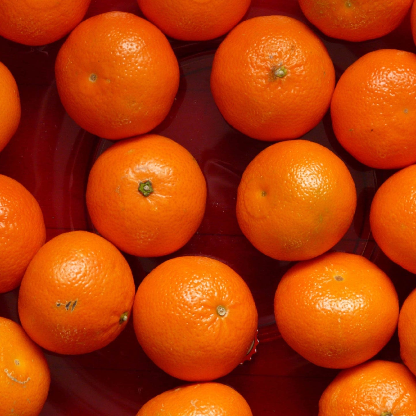 Fragancia de Mandarina | Aroma Cítrico, Dulce y Luminoso