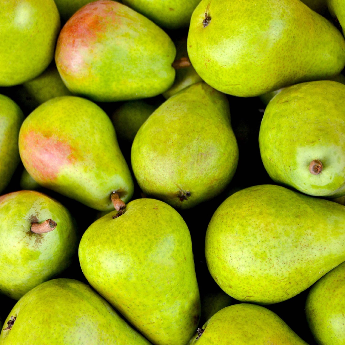 Fragancia de Pera | Aroma Fresco, Afrutado y Revitalizante