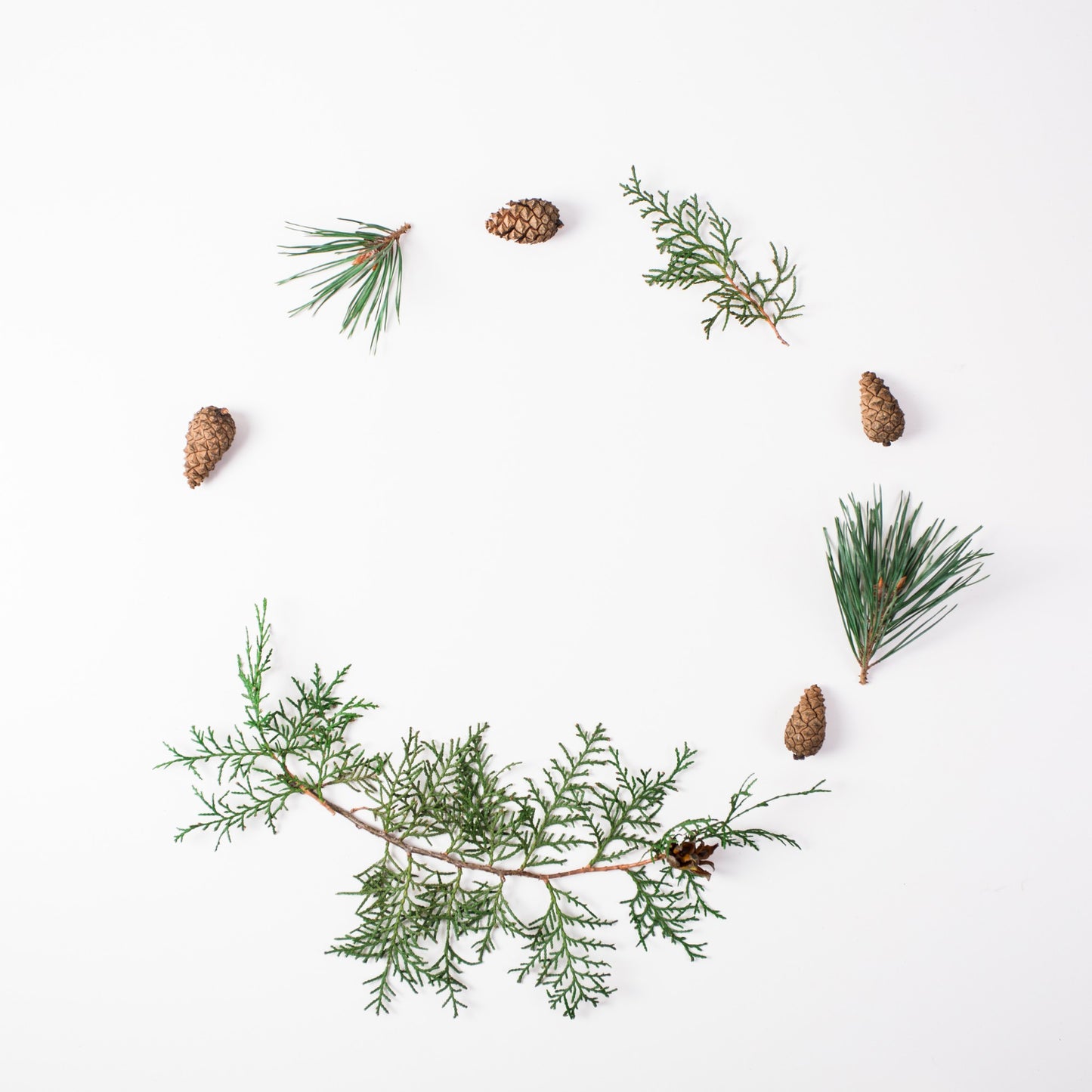 Fragancia de Bosque Nórdico | Aroma Amaderado, Fresco y Revitalizante