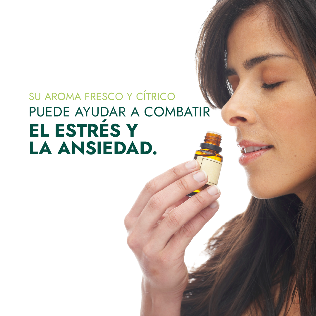 10 ml