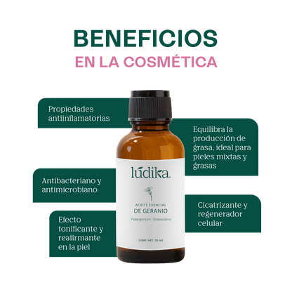 Aceite Esencial de Geranio | Facial, Spa y Aromaterapia | El Equilibrio Floral para Piel Radiante, Cabello Saludable y Bienestar Emocional