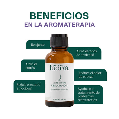 Aceite Esencial de Lavanda | Facial, Spa y Aromaterapia | Calmante, Regenerador Cutáneo y Equilibrante para Piel, Cabello y Mente