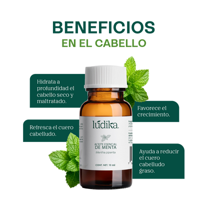 Aceite Esencial de Menta Piperita | Capilar, Spa y Aromaterapia | Explosión de Frescura y Bienestar para Cabello, Piel y Mente