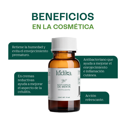 Aceite Esencial de Menta Piperita | Capilar, Spa y Aromaterapia | Explosión de Frescura y Bienestar para Cabello, Piel y Mente