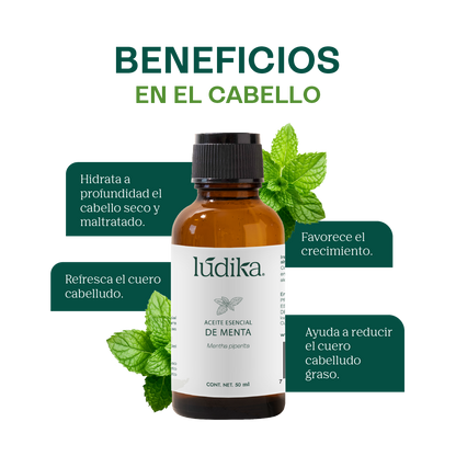 Aceite Esencial de Menta Piperita | Capilar, Spa y Aromaterapia | Explosión de Frescura y Bienestar para Cabello, Piel y Mente