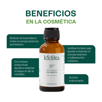Aceite Esencial de Menta Piperita | Capilar, Spa y Aromaterapia | Explosión de Frescura y Bienestar para Cabello, Piel y Mente