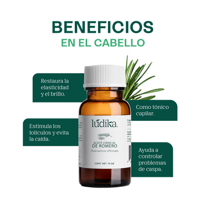 Aceite Esencial de Romero | Capilar, Facial y Aromaterapia | El Secreto Milenario para un Cabello Fuerte, Piel Renovada y Mente Despejada