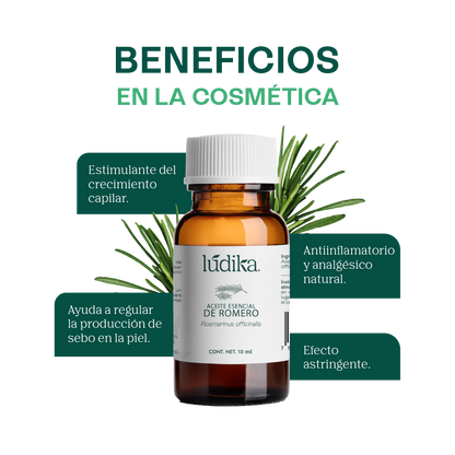 Aceite Esencial de Romero | Capilar, Facial y Aromaterapia | El Secreto Milenario para un Cabello Fuerte, Piel Renovada y Mente Despejada