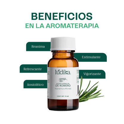 Aceite Esencial de Romero | Capilar, Facial y Aromaterapia | El Secreto Milenario para un Cabello Fuerte, Piel Renovada y Mente Despejada