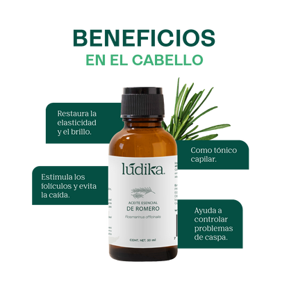 Aceite Esencial de Romero | Capilar, Facial y Aromaterapia | El Secreto Milenario para un Cabello Fuerte, Piel Renovada y Mente Despejada