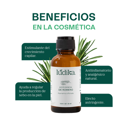 Aceite Esencial de Romero | Capilar, Facial y Aromaterapia | El Secreto Milenario para un Cabello Fuerte, Piel Renovada y Mente Despejada