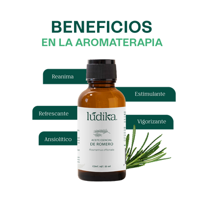 Aceite Esencial de Romero | Capilar, Facial y Aromaterapia | El Secreto Milenario para un Cabello Fuerte, Piel Renovada y Mente Despejada