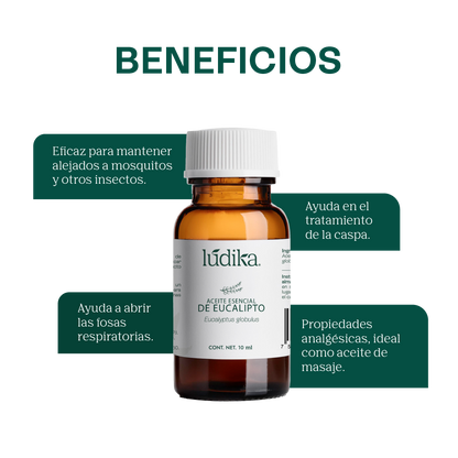 Aceite Esencial de Eucalipto | Corporal, Capilar y Aromaterapia | El Aliento Puro de la Naturaleza para Vías Respiratorias, Piel y Hogar Fresco