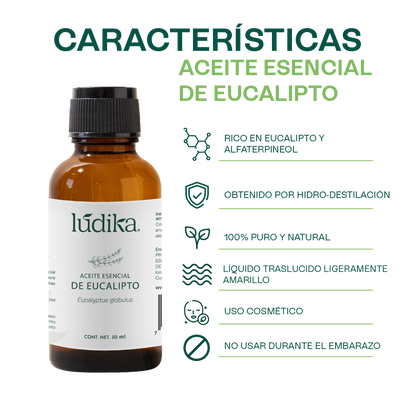 Aceite Esencial de Eucalipto | Corporal, Capilar y Aromaterapia | El Aliento Puro de la Naturaleza para Vías Respiratorias, Piel y Hogar Fresco