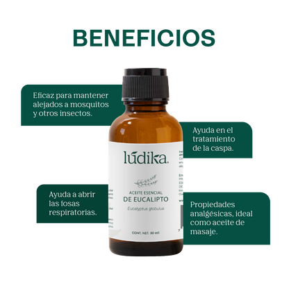 Aceite Esencial de Eucalipto | Corporal, Capilar y Aromaterapia | El Aliento Puro de la Naturaleza para Vías Respiratorias, Piel y Hogar Fresco