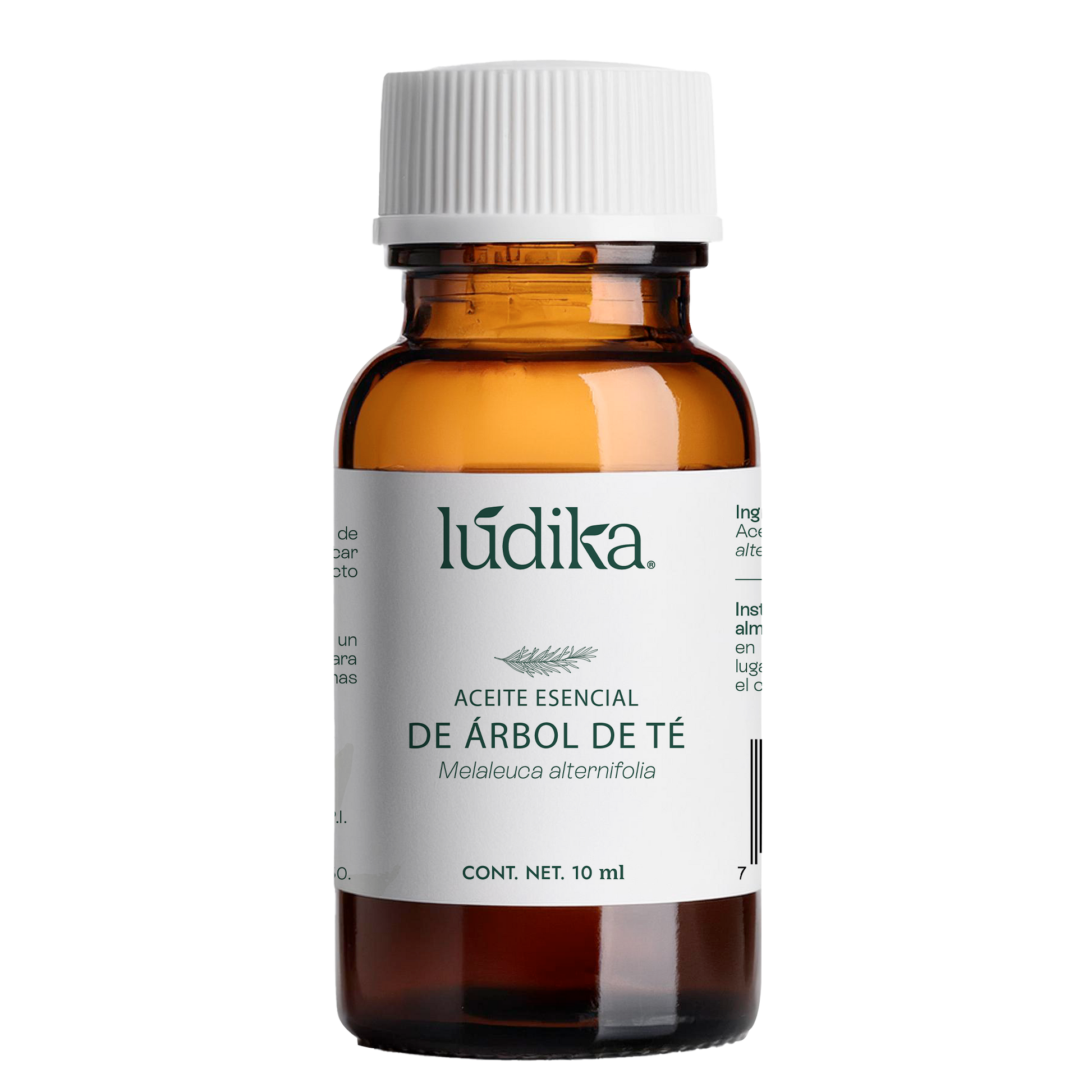 10 ml