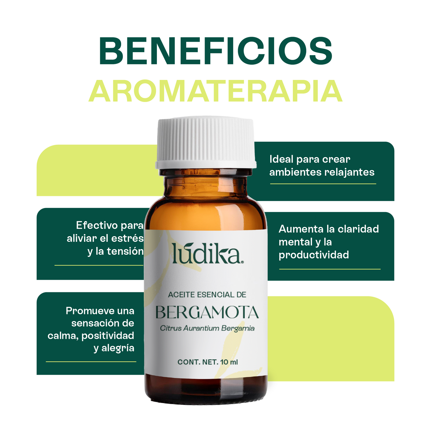Aceite Esencial de Bergamota | Aromaterapia y Spa | Calmante, Purificante y Elevador del Ánimo para Piel y Mente