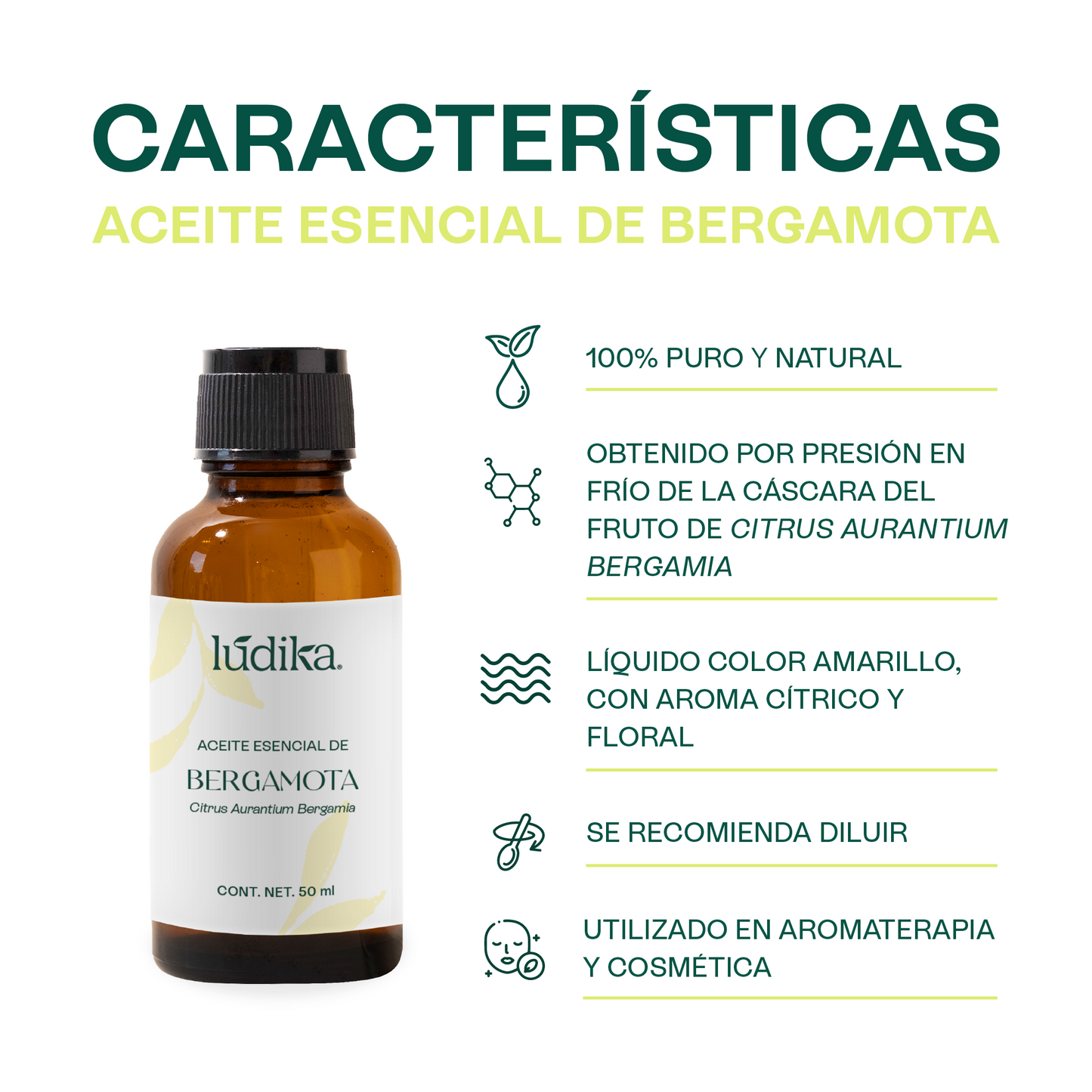 Aceite Esencial de Bergamota | Aromaterapia y Spa | Calmante, Purificante y Elevador del Ánimo para Piel y Mente