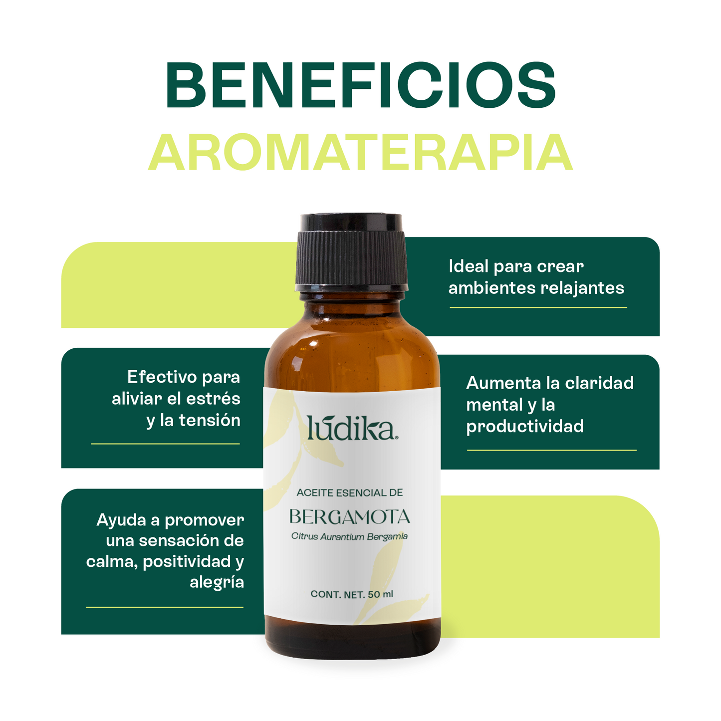 Aceite Esencial de Bergamota | Aromaterapia y Spa | Calmante, Purificante y Elevador del Ánimo para Piel y Mente