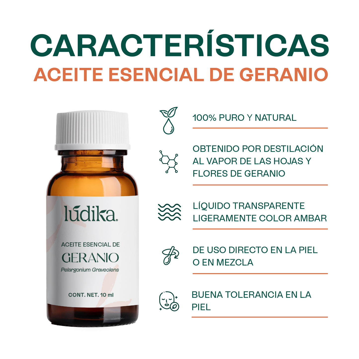 Aceite Esencial de Geranio | Facial, Spa y Aromaterapia | El Equilibrio Floral para Piel Radiante, Cabello Saludable y Bienestar Emocional